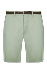 Fashion Chino Shorts